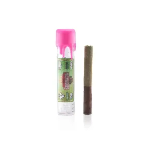 Guava Blunt